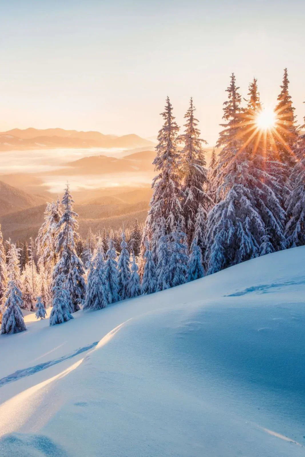 Les meilleures alternatives au ski alpin traditionnel