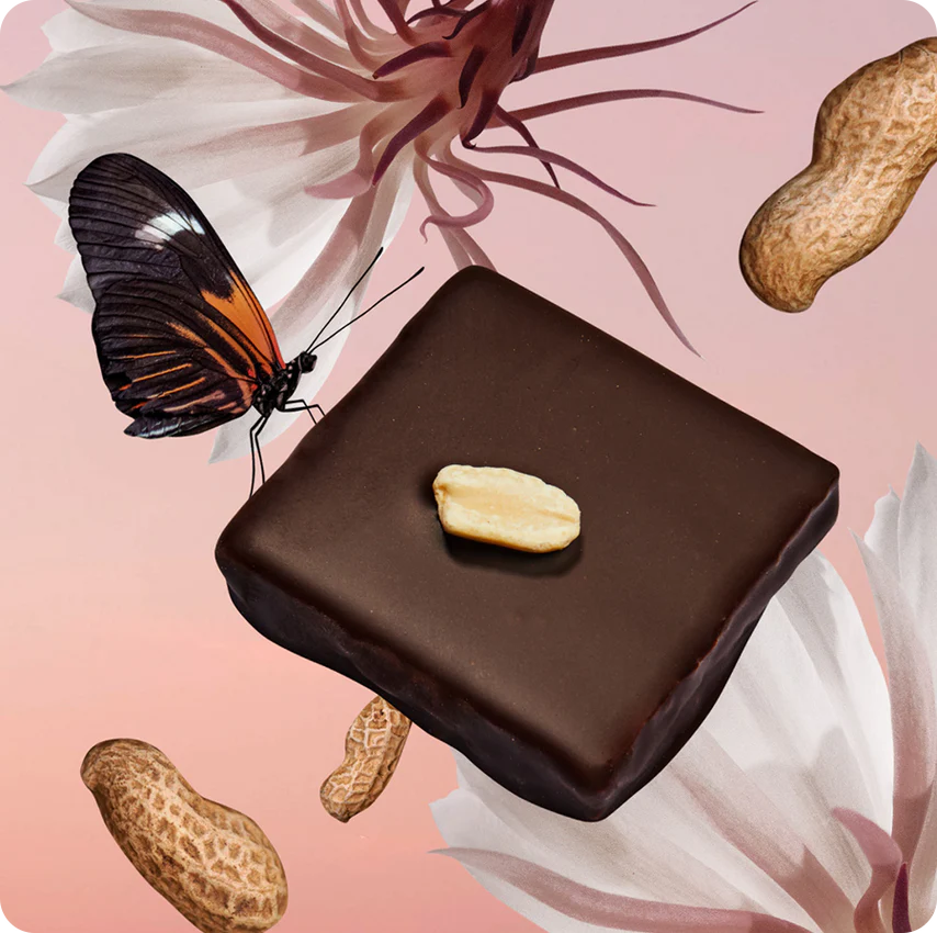 Filled Raw Cocoa - Chakra - Assortment