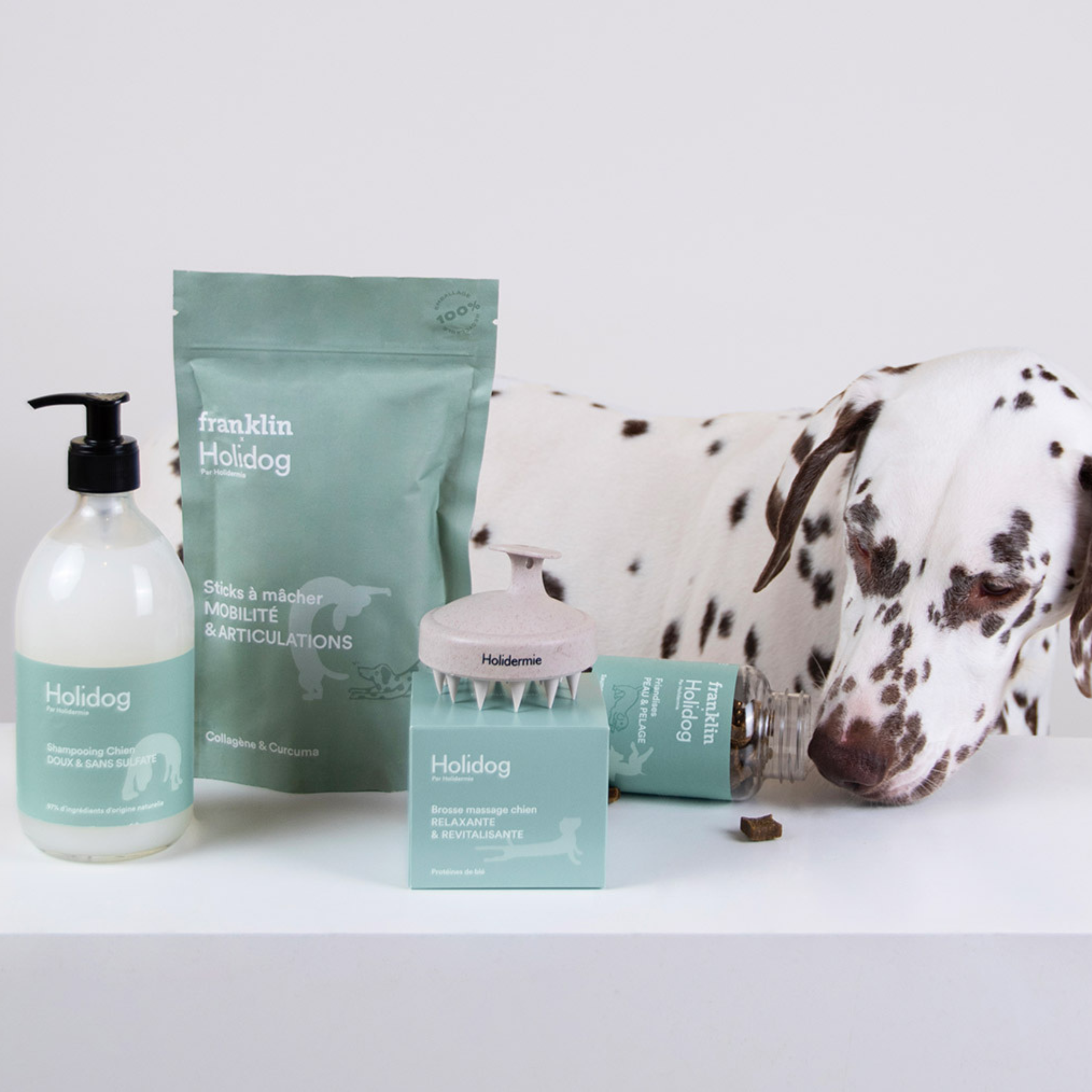 Dog massage brush - HOLIDOG
