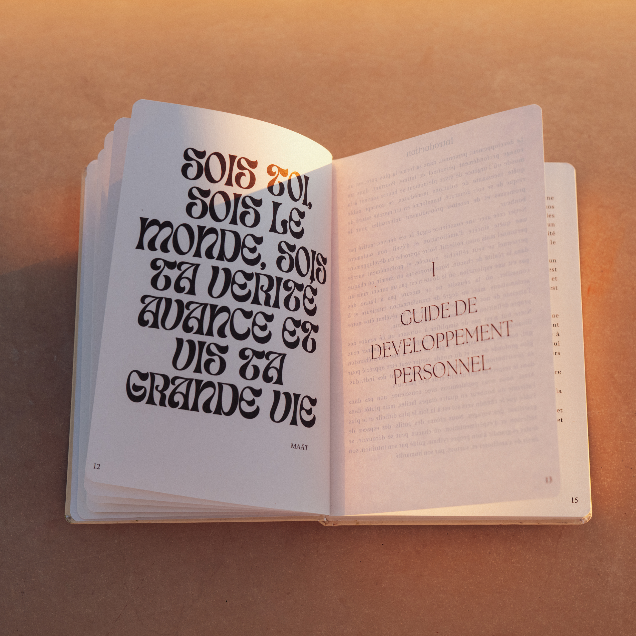 Organization Journal - Maât