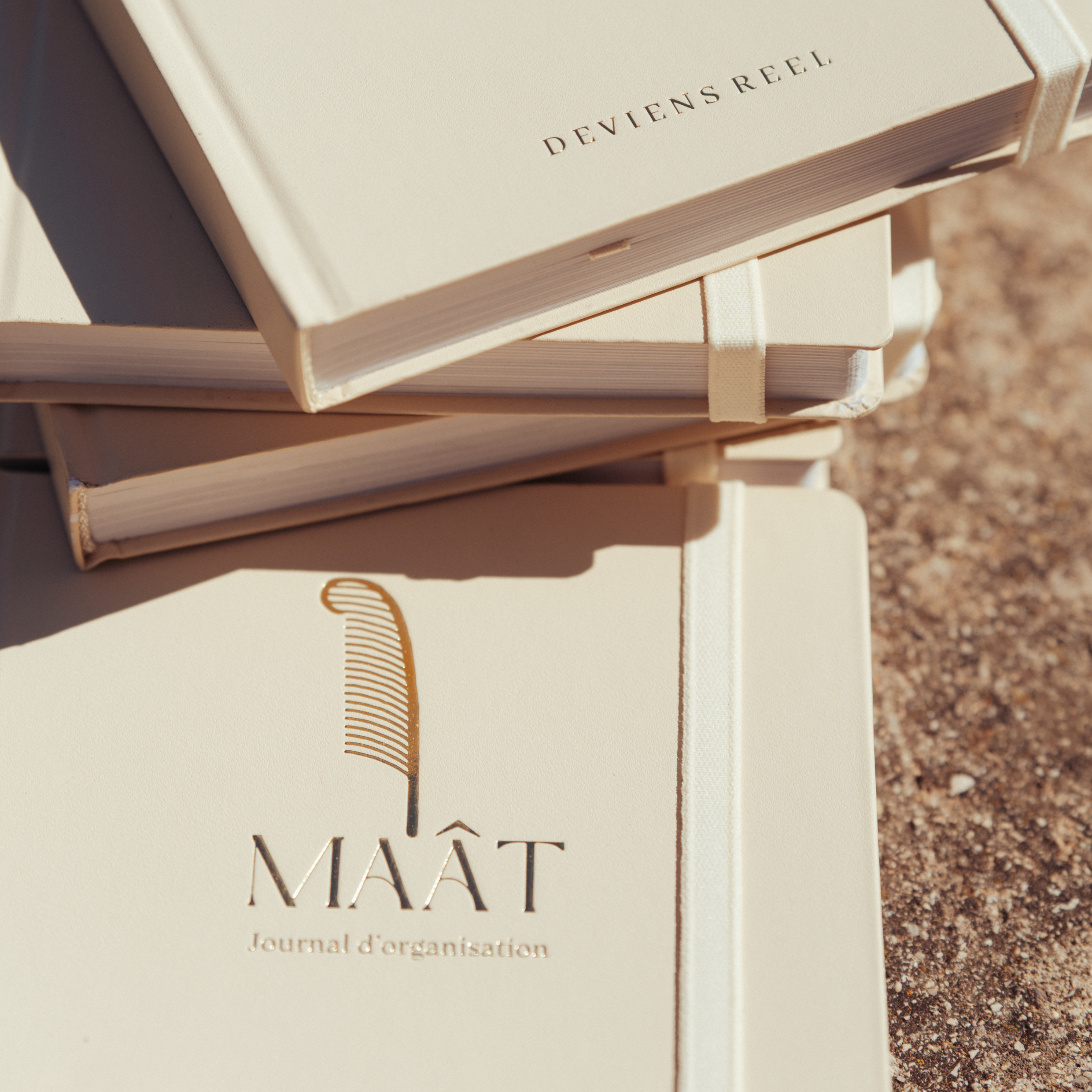 Organization Journal - Maât