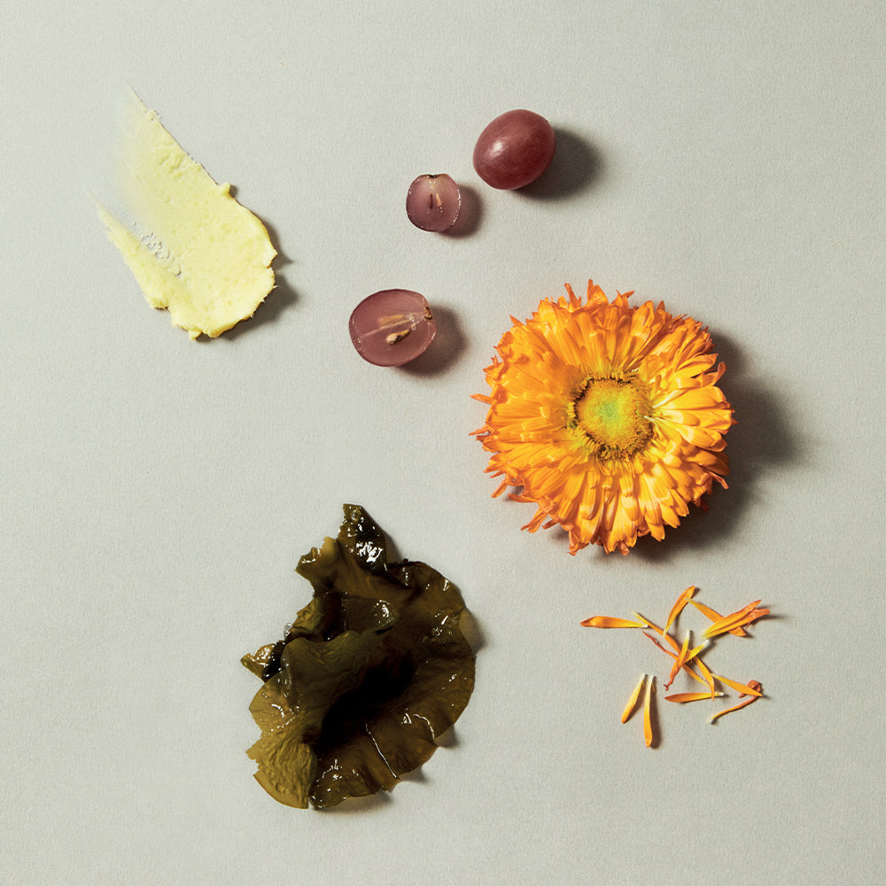 Antioxydant Hand Cream