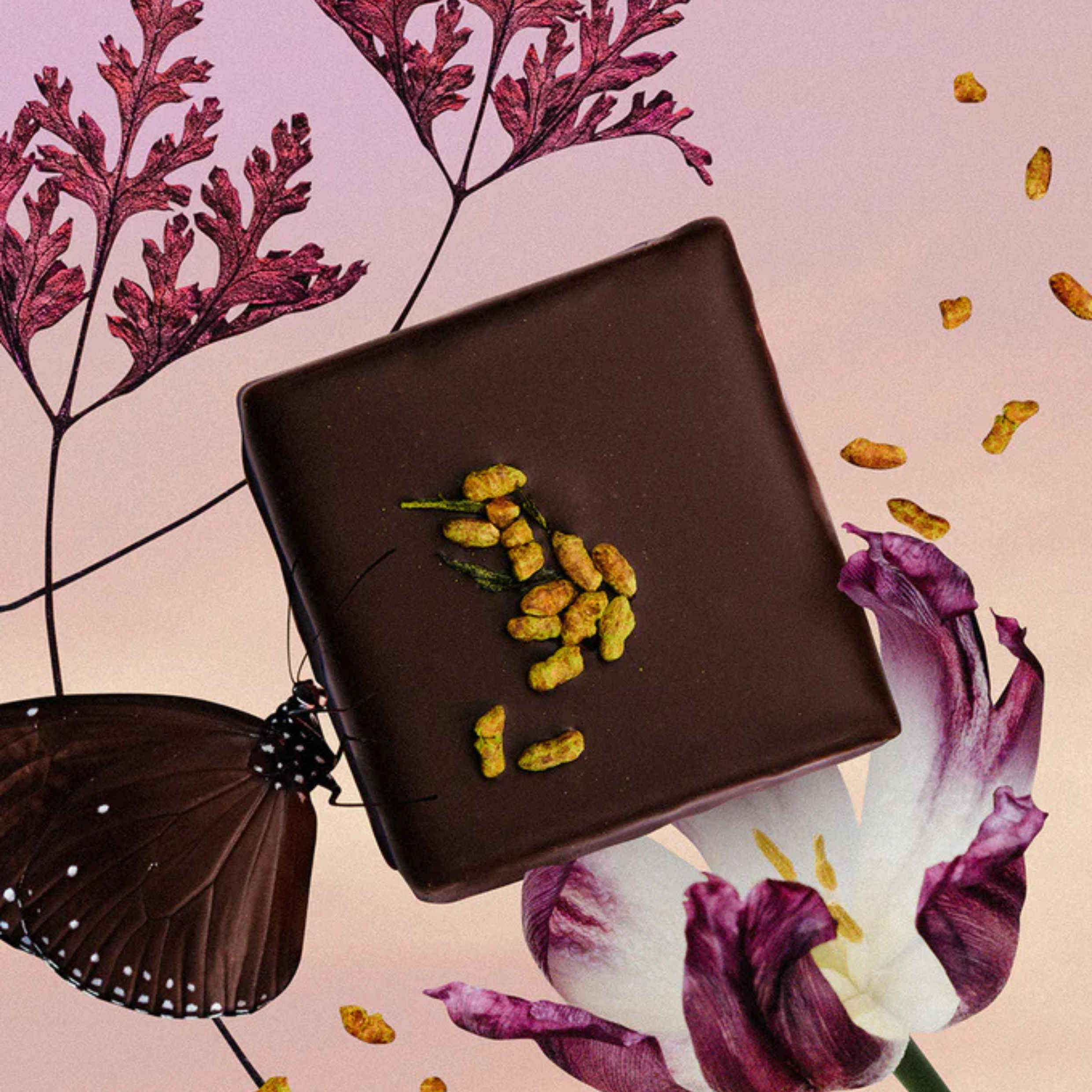 Filled Raw Cocoa - Chakra - Assortment