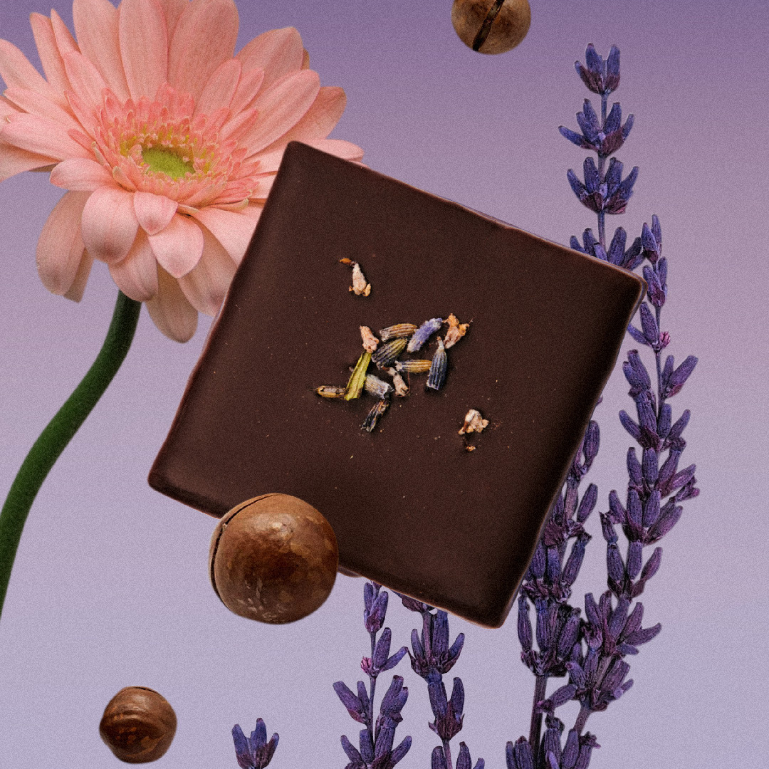 Organic Raw Cacao, Wild Lavender & Macadamia