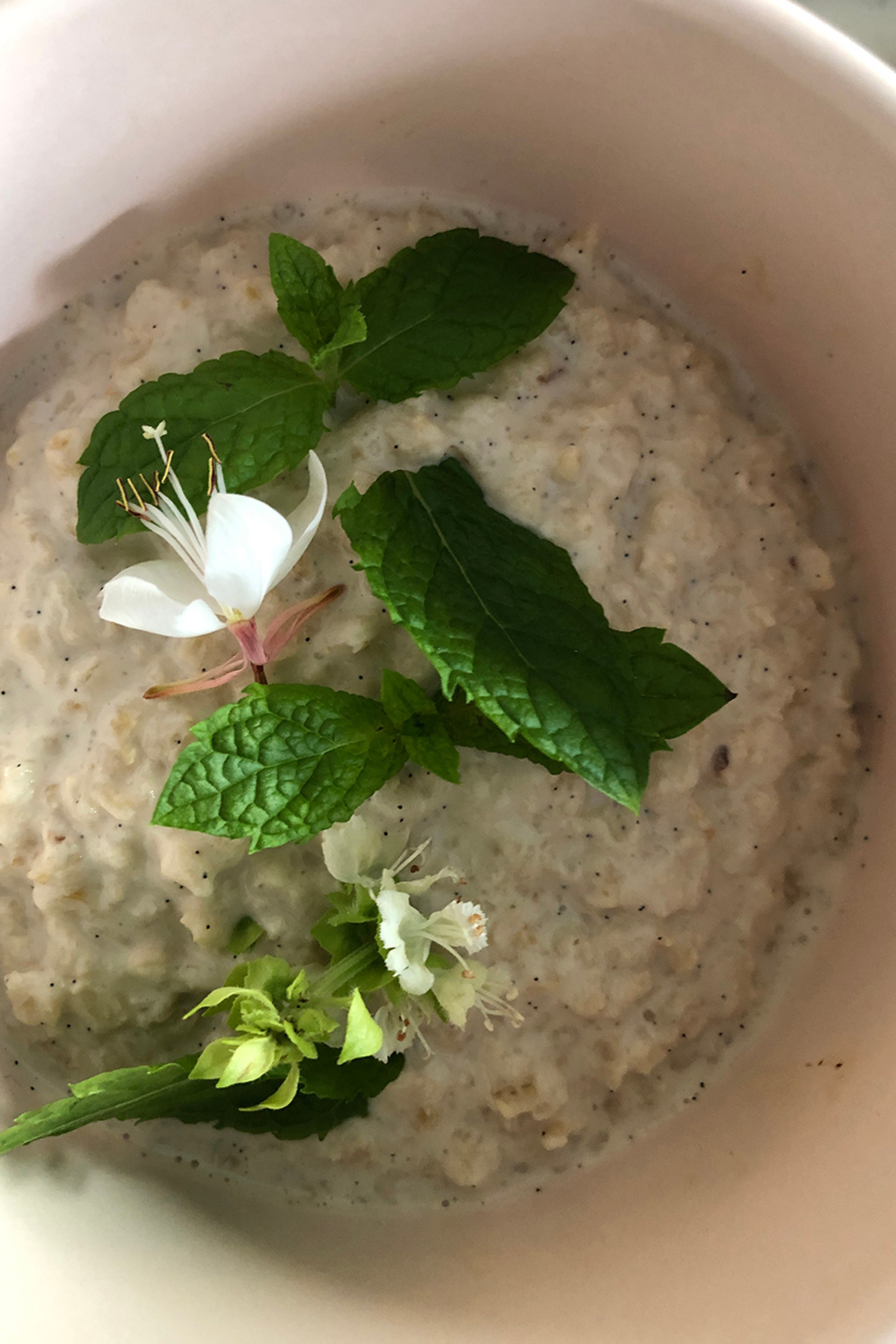 Porridge prébiotique aux flocons de petit avoine