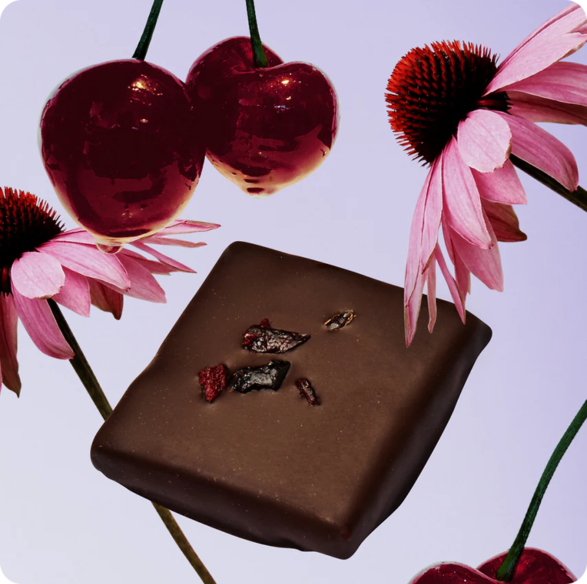 Filled Raw Cocoa - Chakra - Assortment