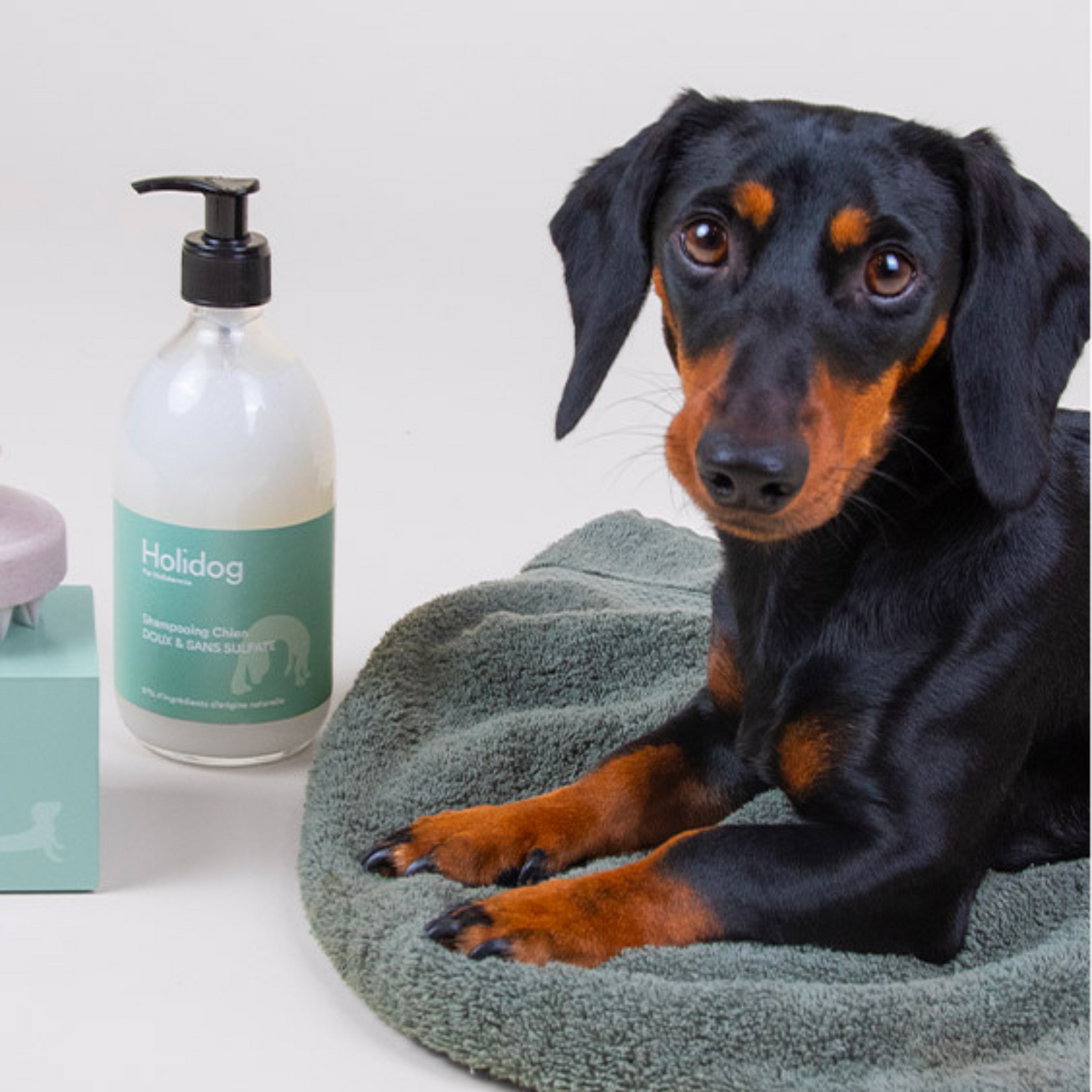 Dog Shampoo - HOLIDOG