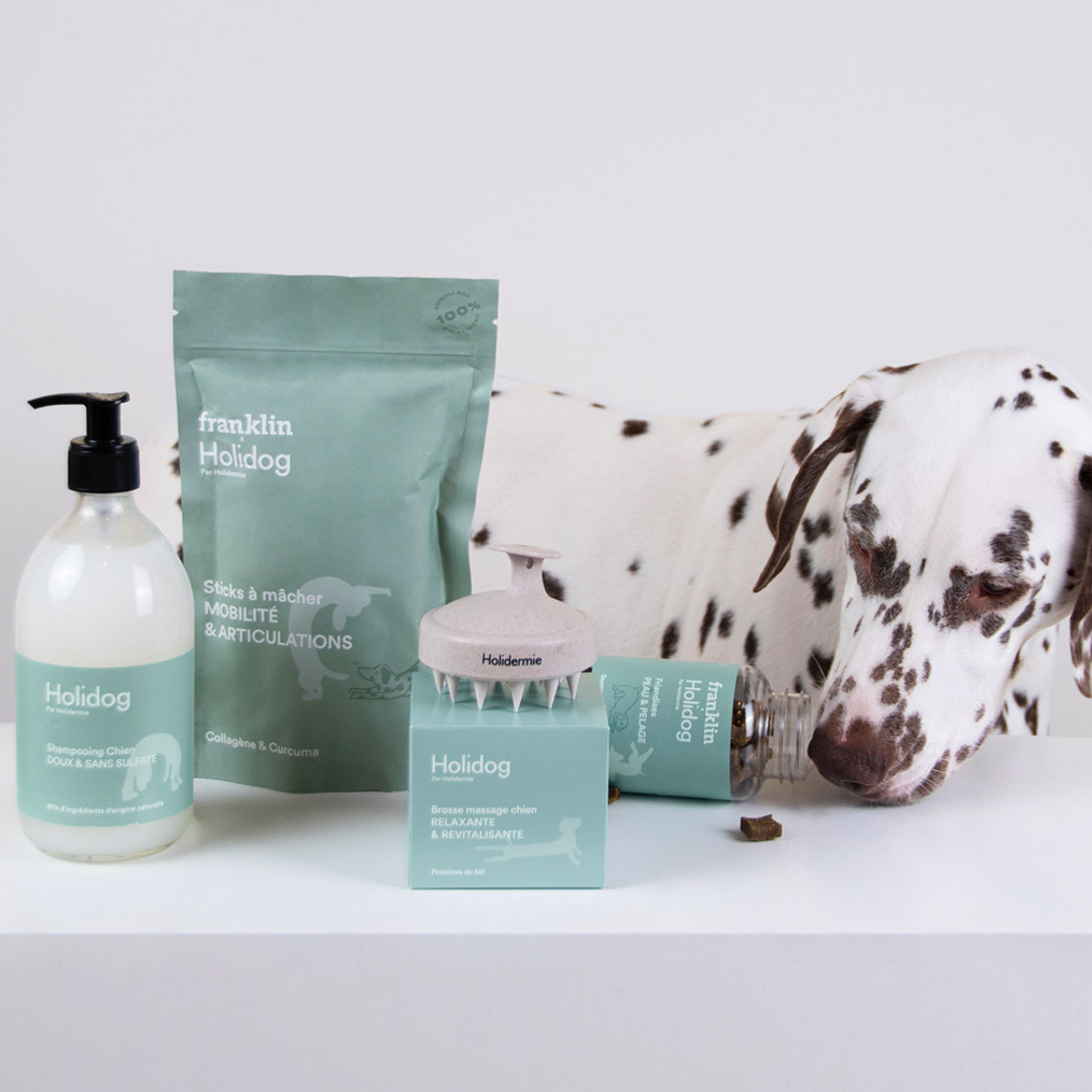 Dog Shampoo - HOLIDOG