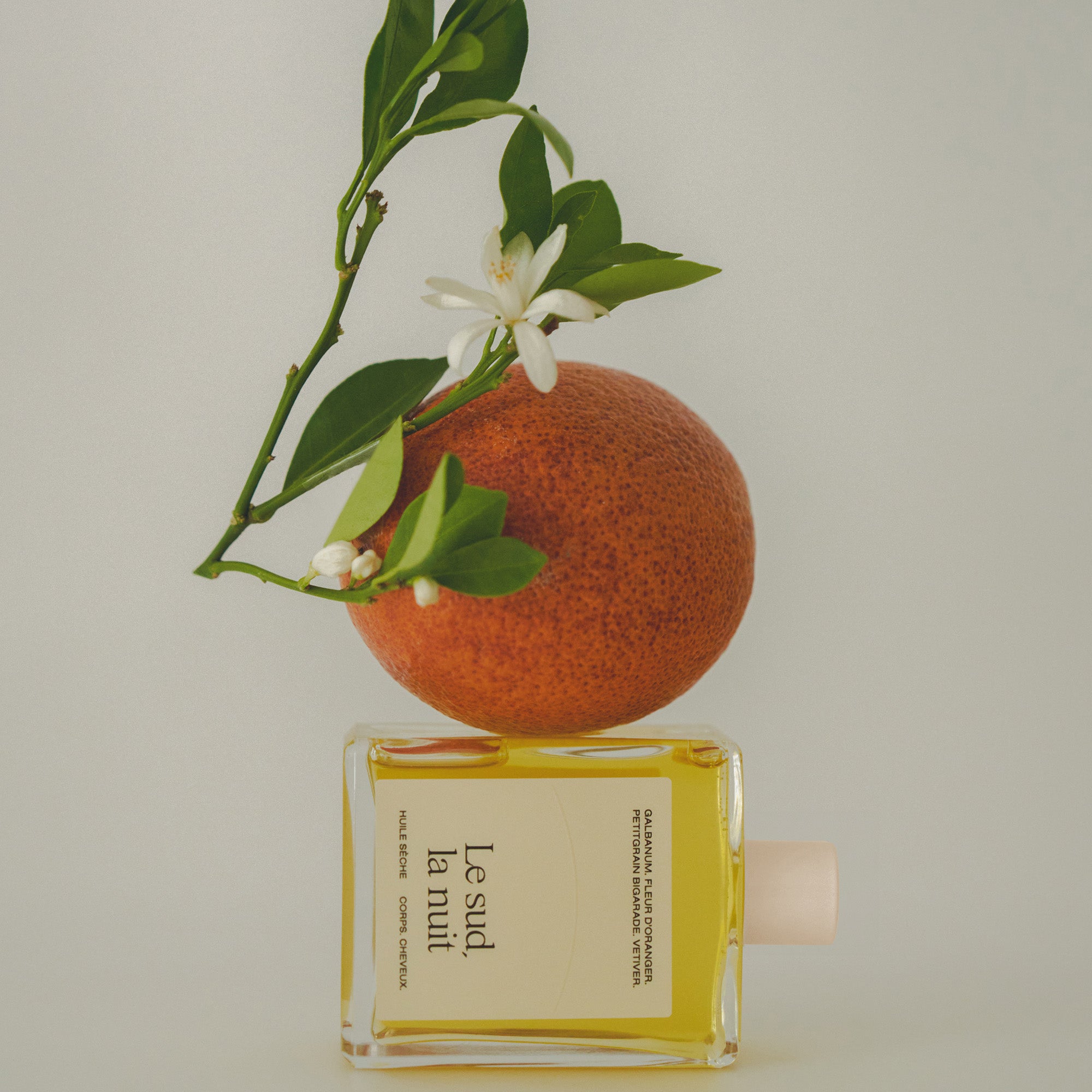Dry oil - Le sud la nuit