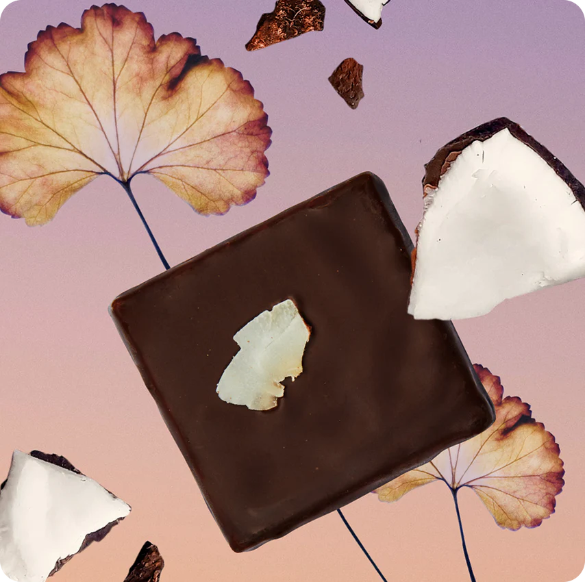 Produits BOITE DE 7 CHOCOLATS CHAKRAS Cosmic Dealer