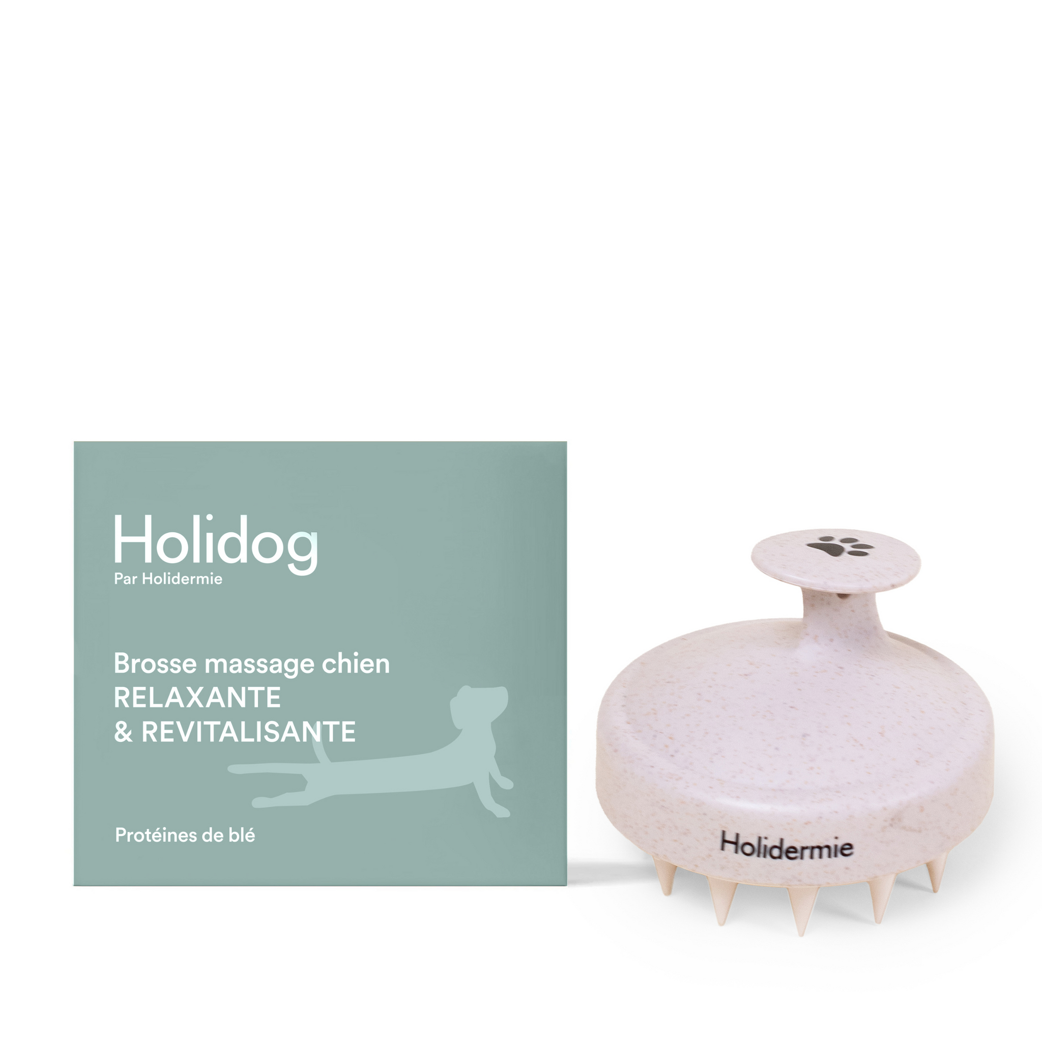 Holidog x Franklin brosse massage chien