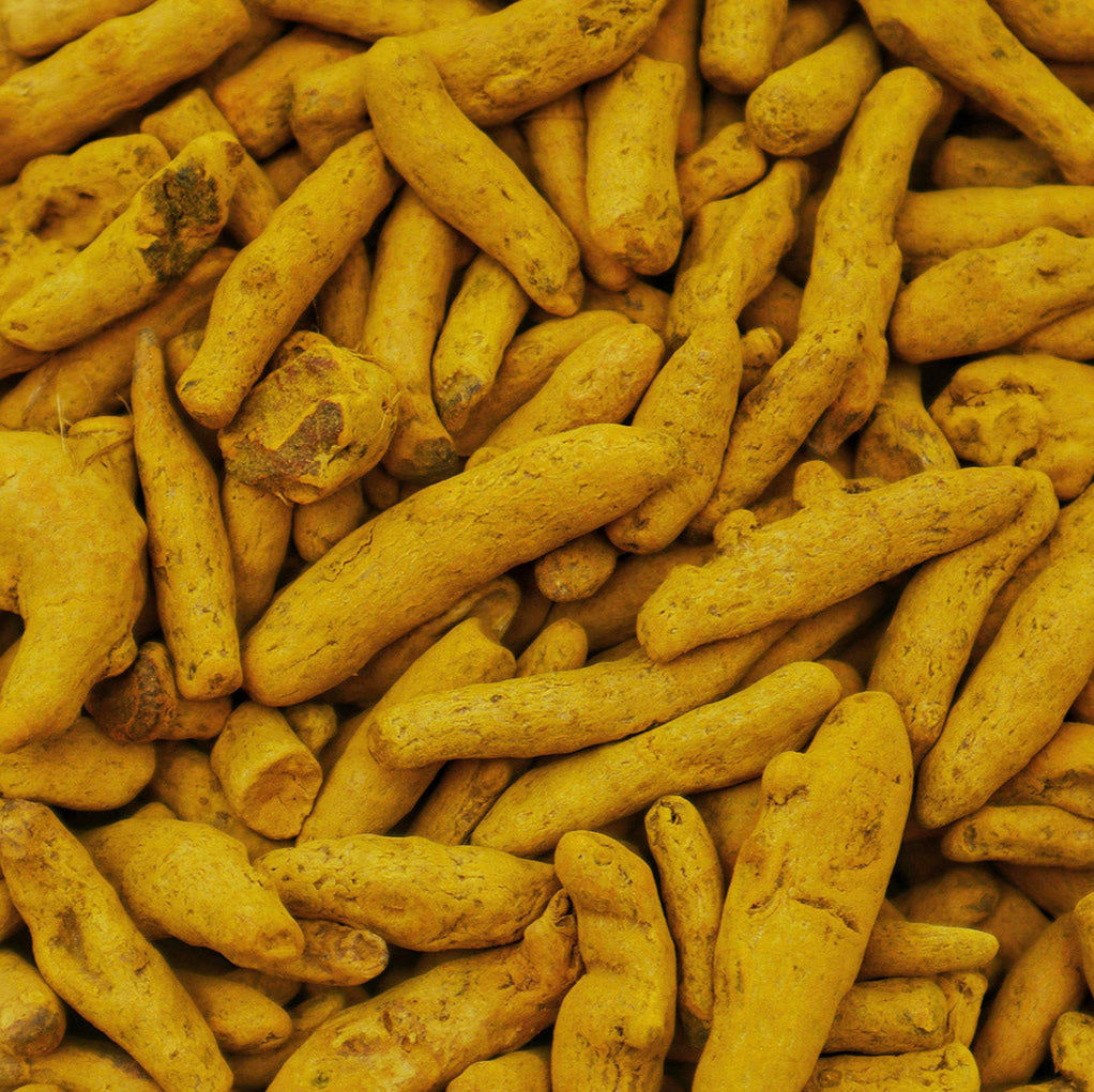 Curcuma