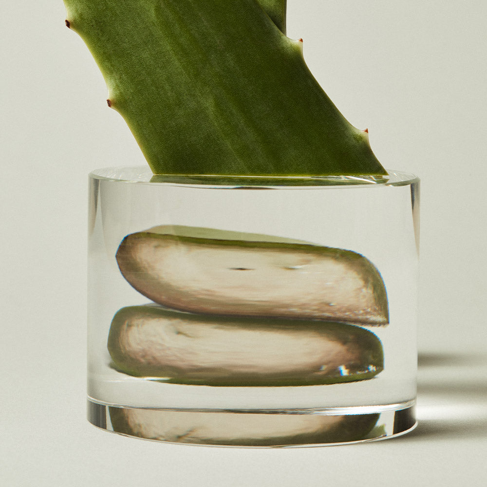 Exfoliating handwash gel