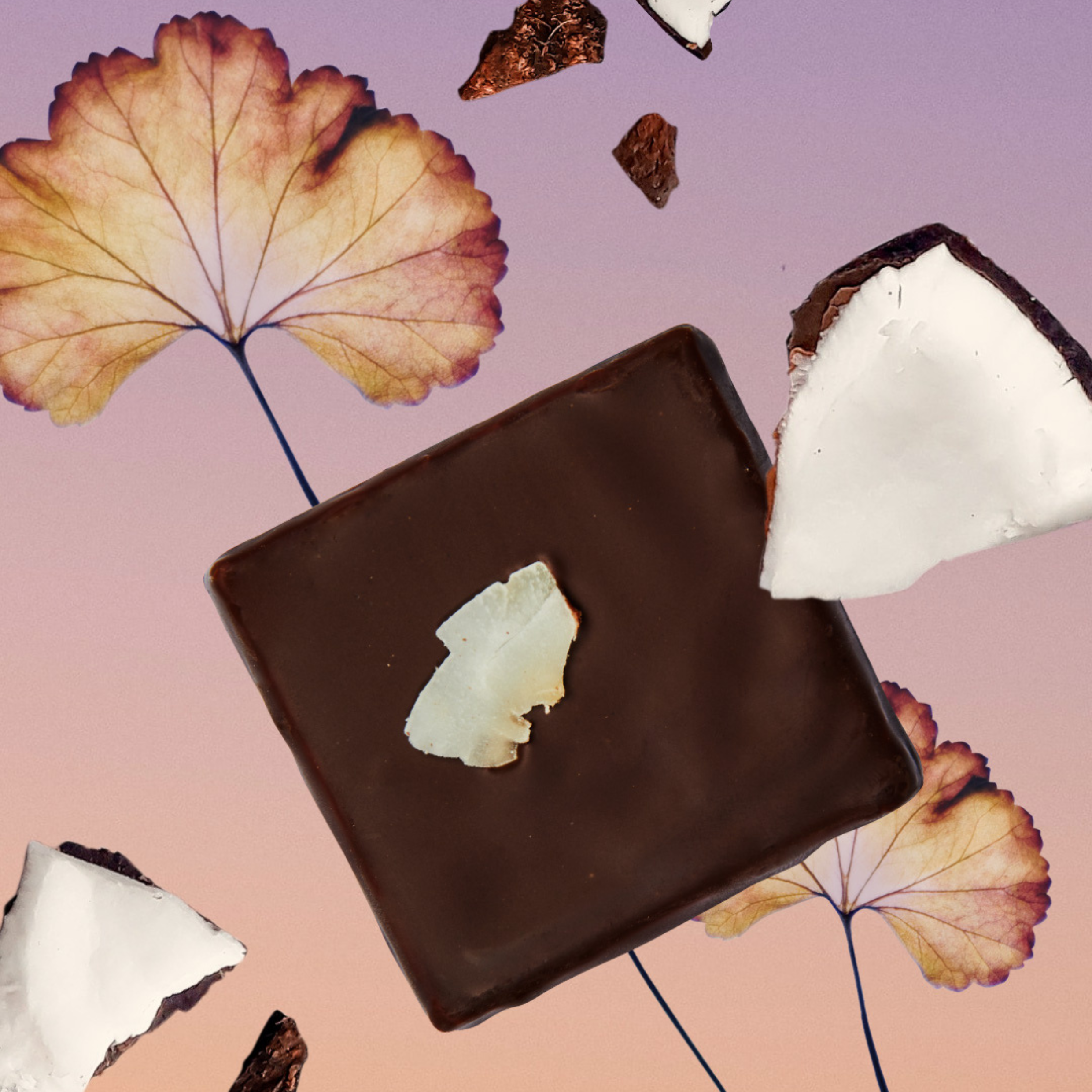 Raw cacao, toasted coconut & organic turmeric