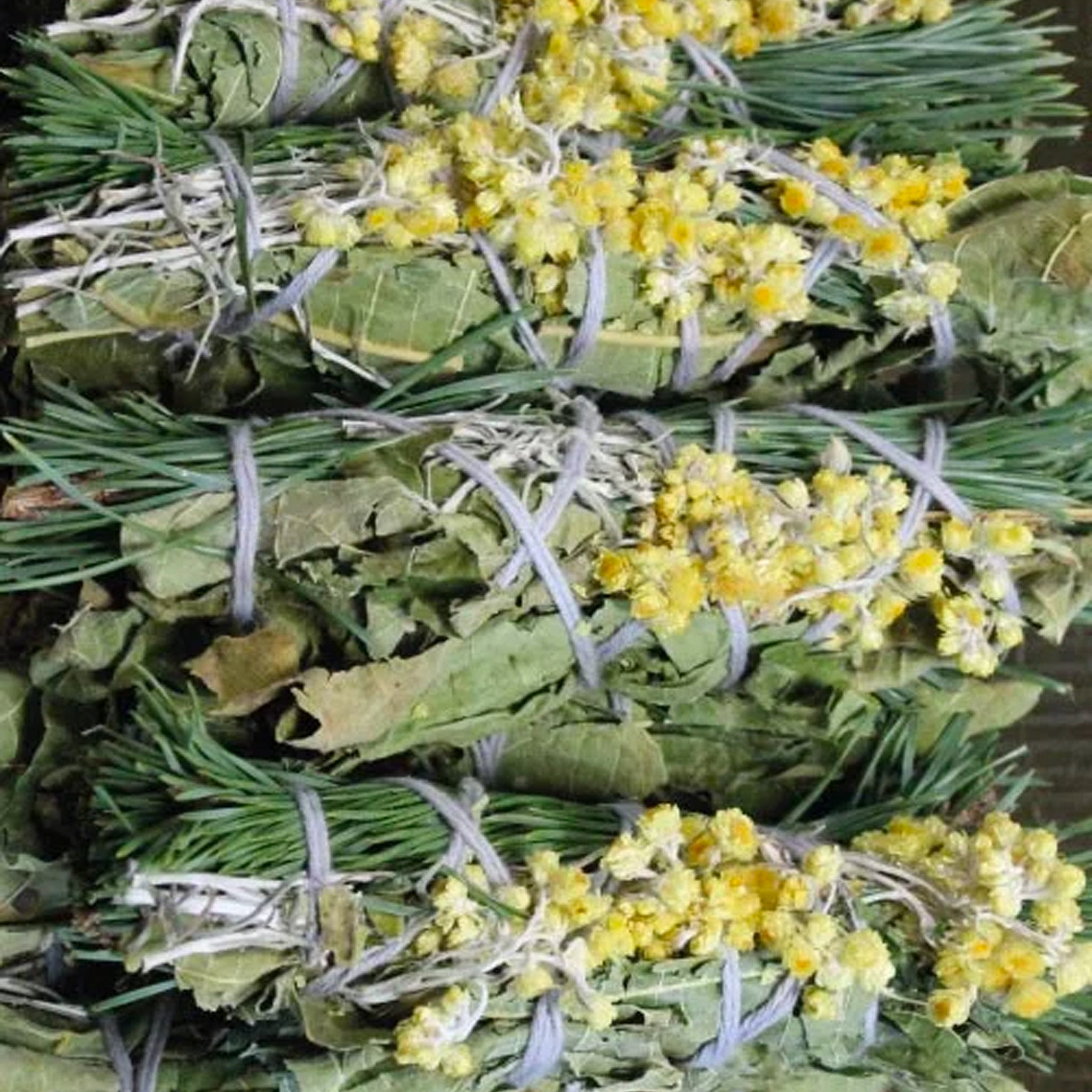 Fumigation bouquet - the Bear